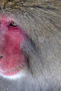 Maya Chen profile photo