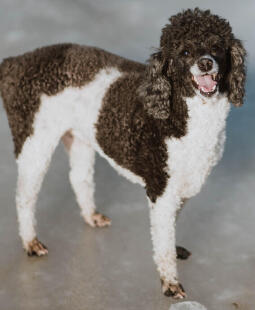 Leo Anders profile photo