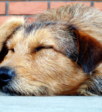 Jonas Richter profile photo