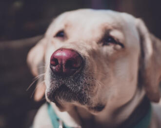 Leo Anders profile photo