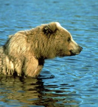 Leo Anders profile photo