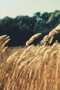 Leo Anders profile photo