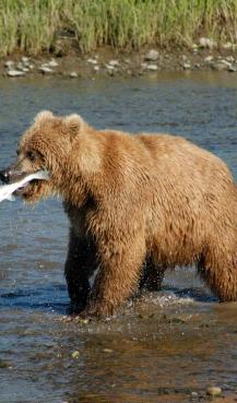 Maya Chen profile photo