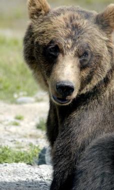 Leo Anders profile photo