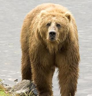 Maya Chen profile photo