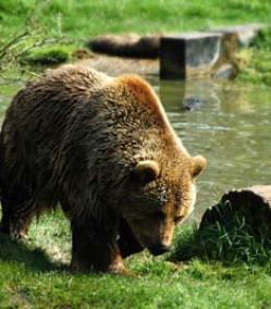 Leo Anders profile photo