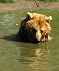 Maya Chen profile photo