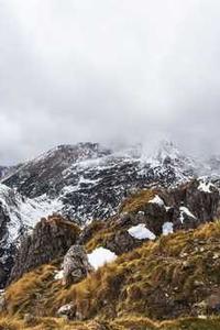 Alex Martinez avatar