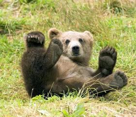 Maya Chen profile photo