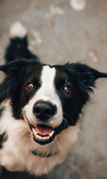 Alex Martinez avatar