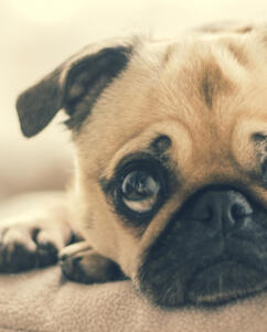 Leo Anders profile photo