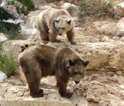 Alex Martinez avatar