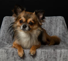 Leo Anders profile photo