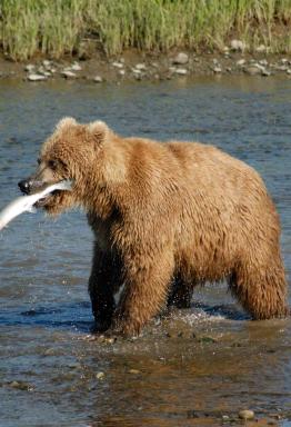 Jonas Richter profile photo