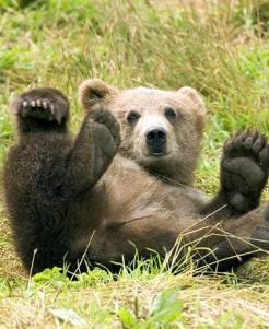 Jonas Richter profile photo