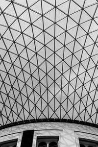 Maya Chen profile photo