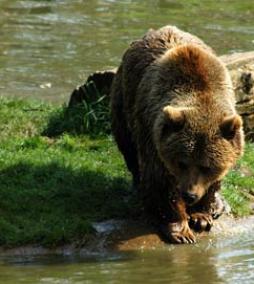 Alex Martinez avatar