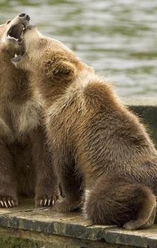 Alex Martinez avatar