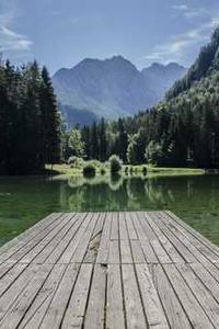 Maya Chen profile photo