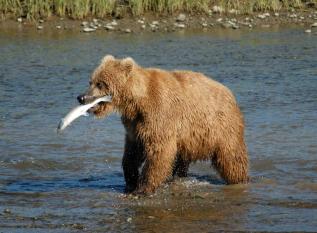 Leo Anders profile photo