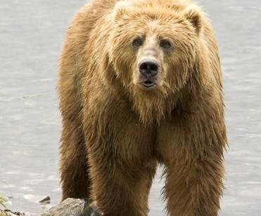 Alex Martinez avatar