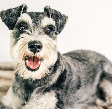 Jonas Richter profile photo