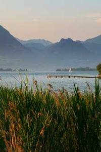 Leo Anders profile photo