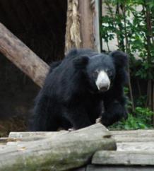 Jonas Richter profile photo