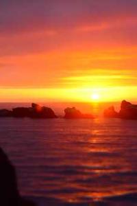 Maya Chen profile photo