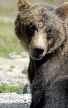 Jonas Richter profile photo