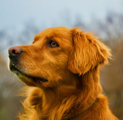 Maya Chen profile photo