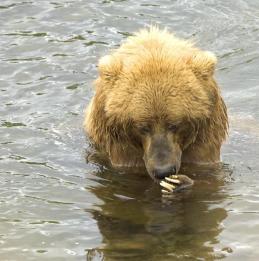 Alex Martinez avatar