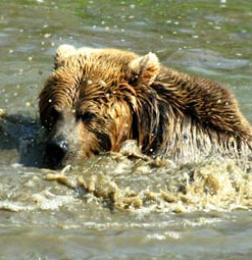 Maya Chen profile photo