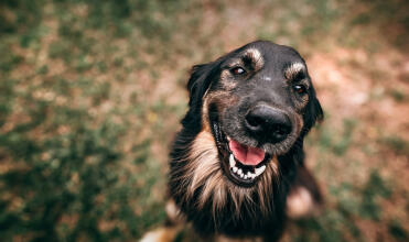 Jonas Richter profile photo