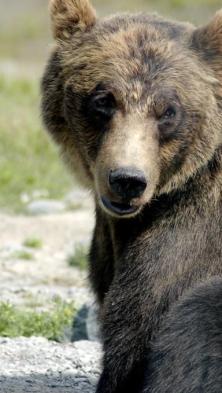 Alex Martinez avatar