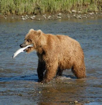 Maya Chen profile photo