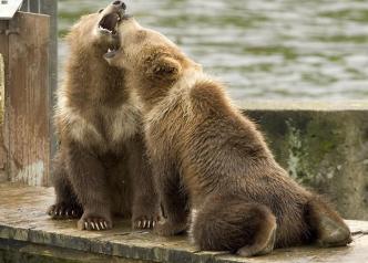 Jonas Richter profile photo