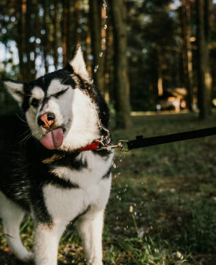 Jonas Richter profile photo